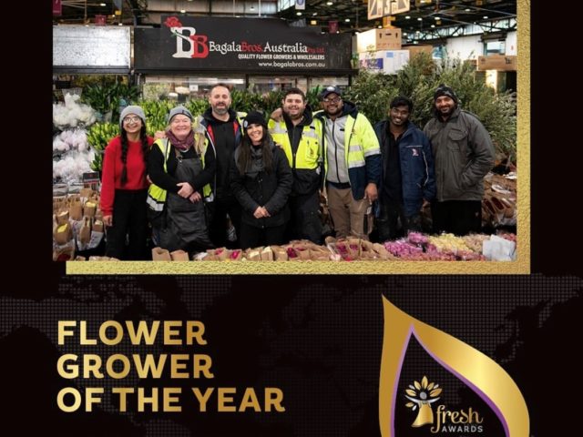 Fresh Flower Awards 2022 – WINNERS